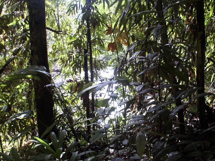 17b - Parc des Mamelles - Marche 021.jpg - DCF 1.0